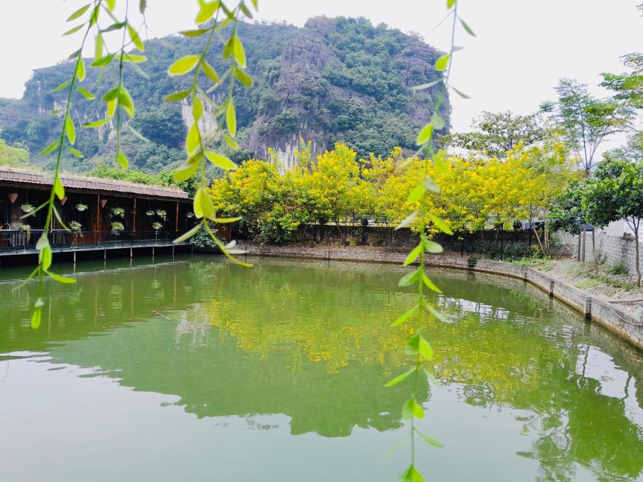 Tam Coc Garden Homestay Ninh Binh Eksteriør billede