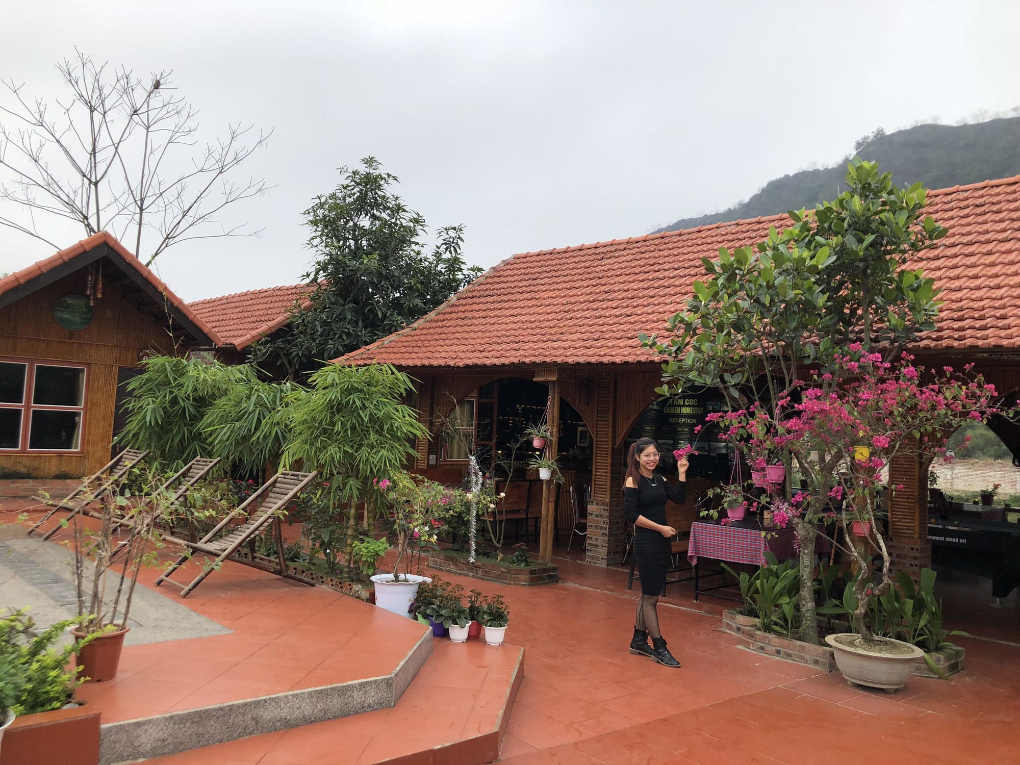 Tam Coc Garden Homestay Ninh Binh Eksteriør billede
