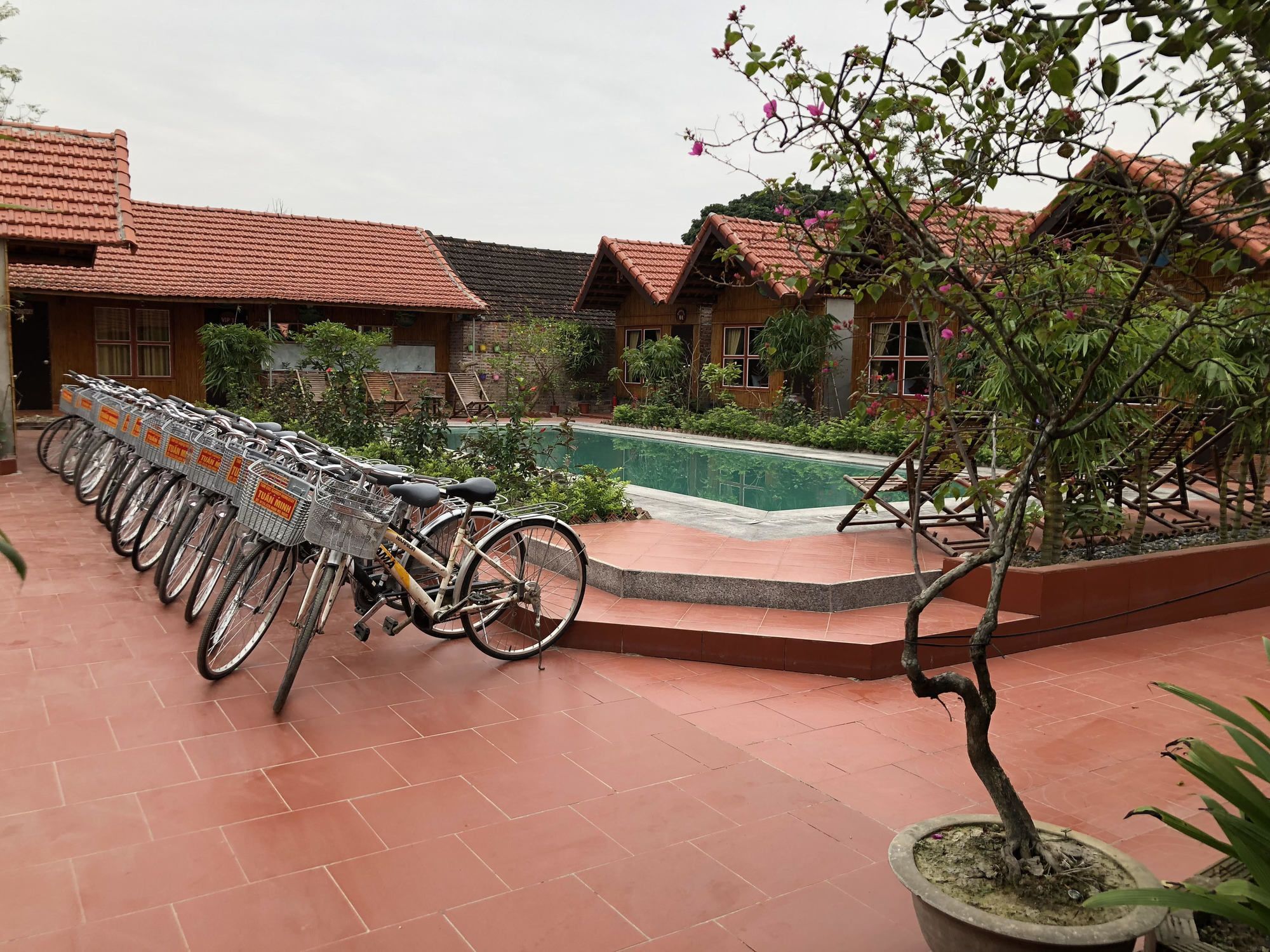Tam Coc Garden Homestay Ninh Binh Eksteriør billede